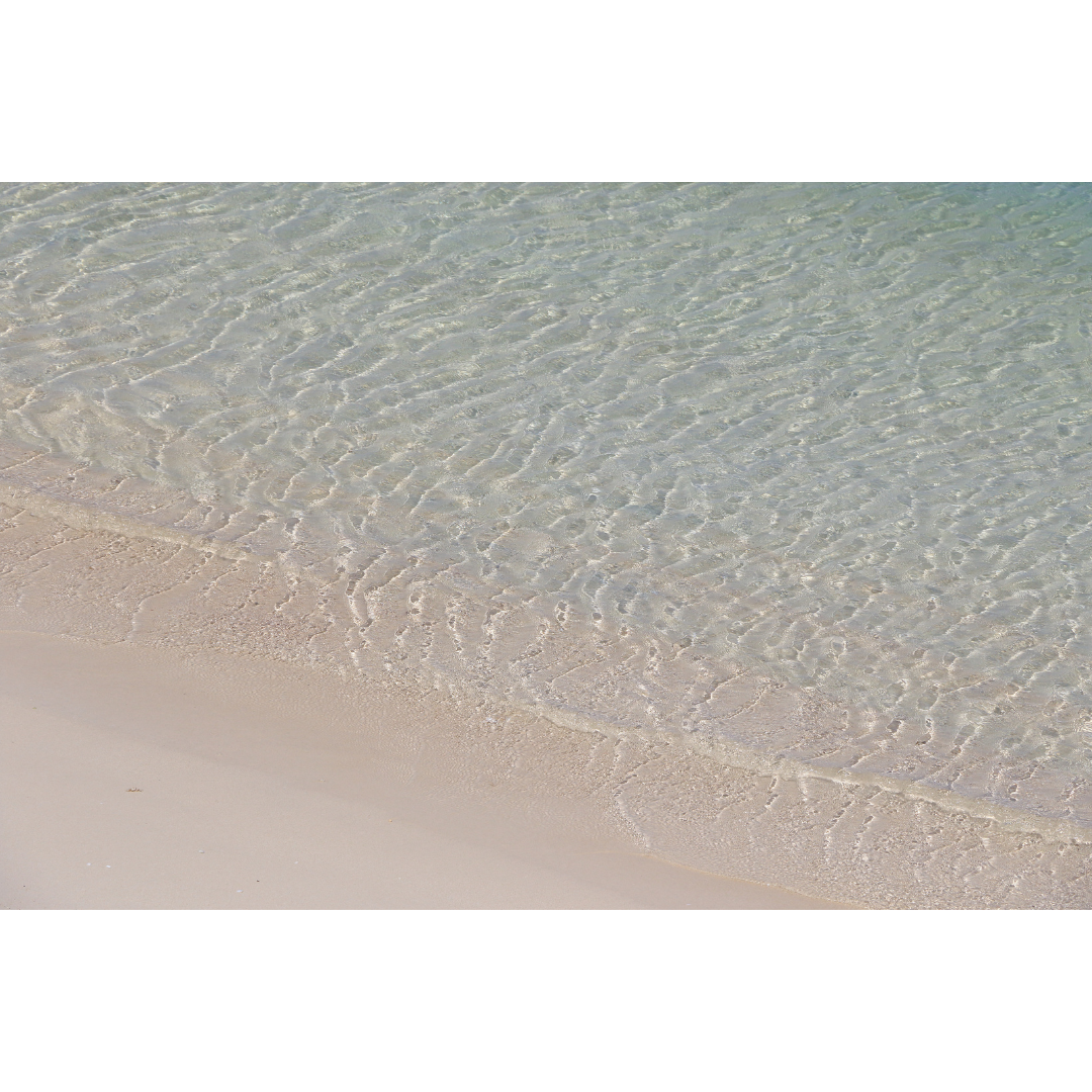 Alicia May, professional bookkeeper for service providers and creatives