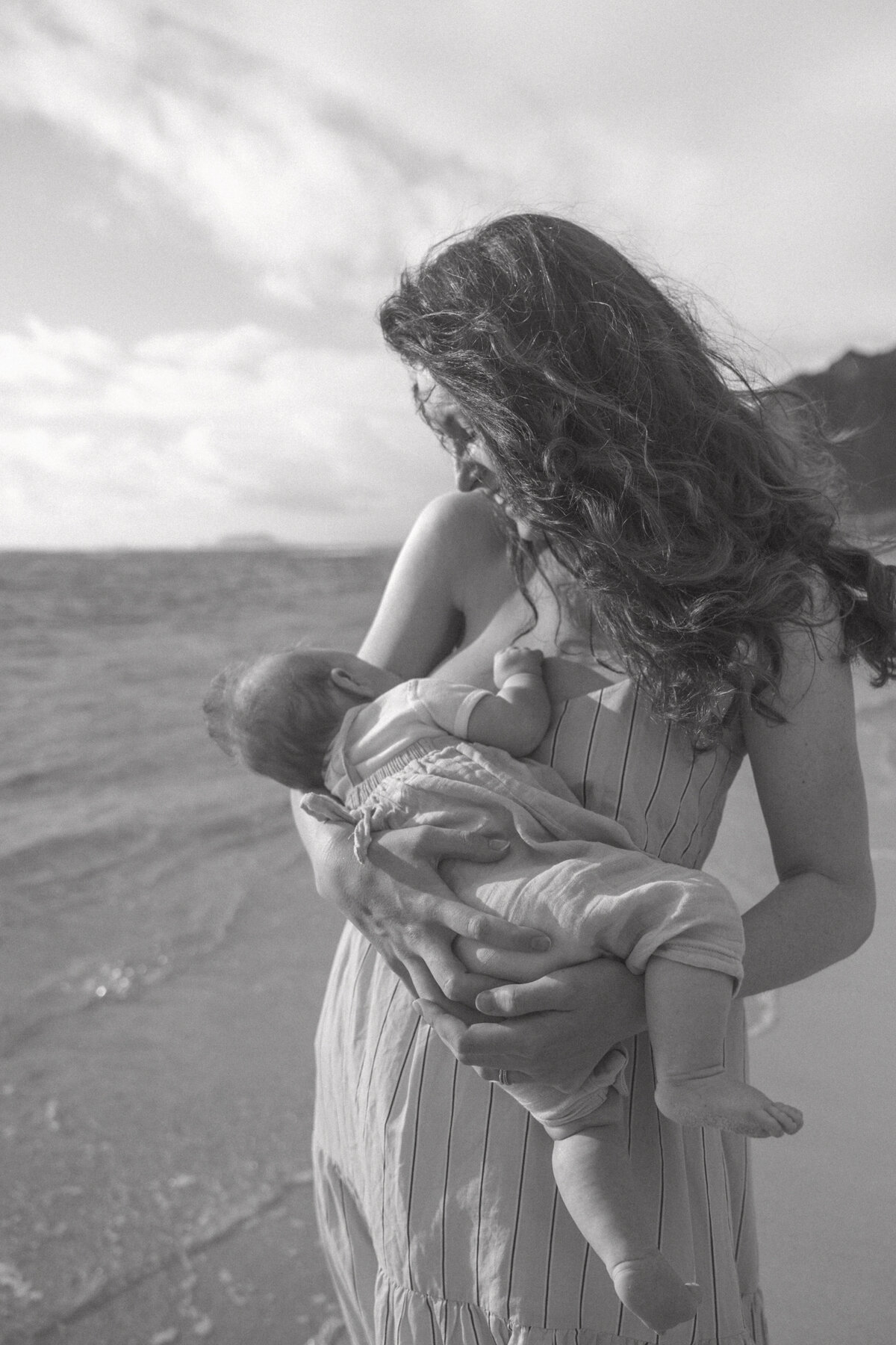 family photos in Oahu