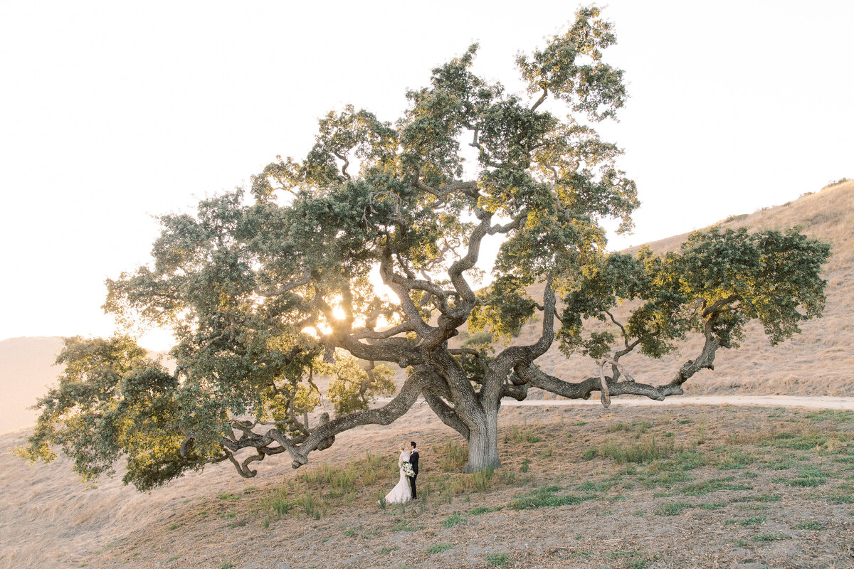 Timeless Wedding Photography in Northern California - Napa - Bir Sur - Lake Tahoe - Carmel Valley - Carlie Statsky Photgraphy -  128