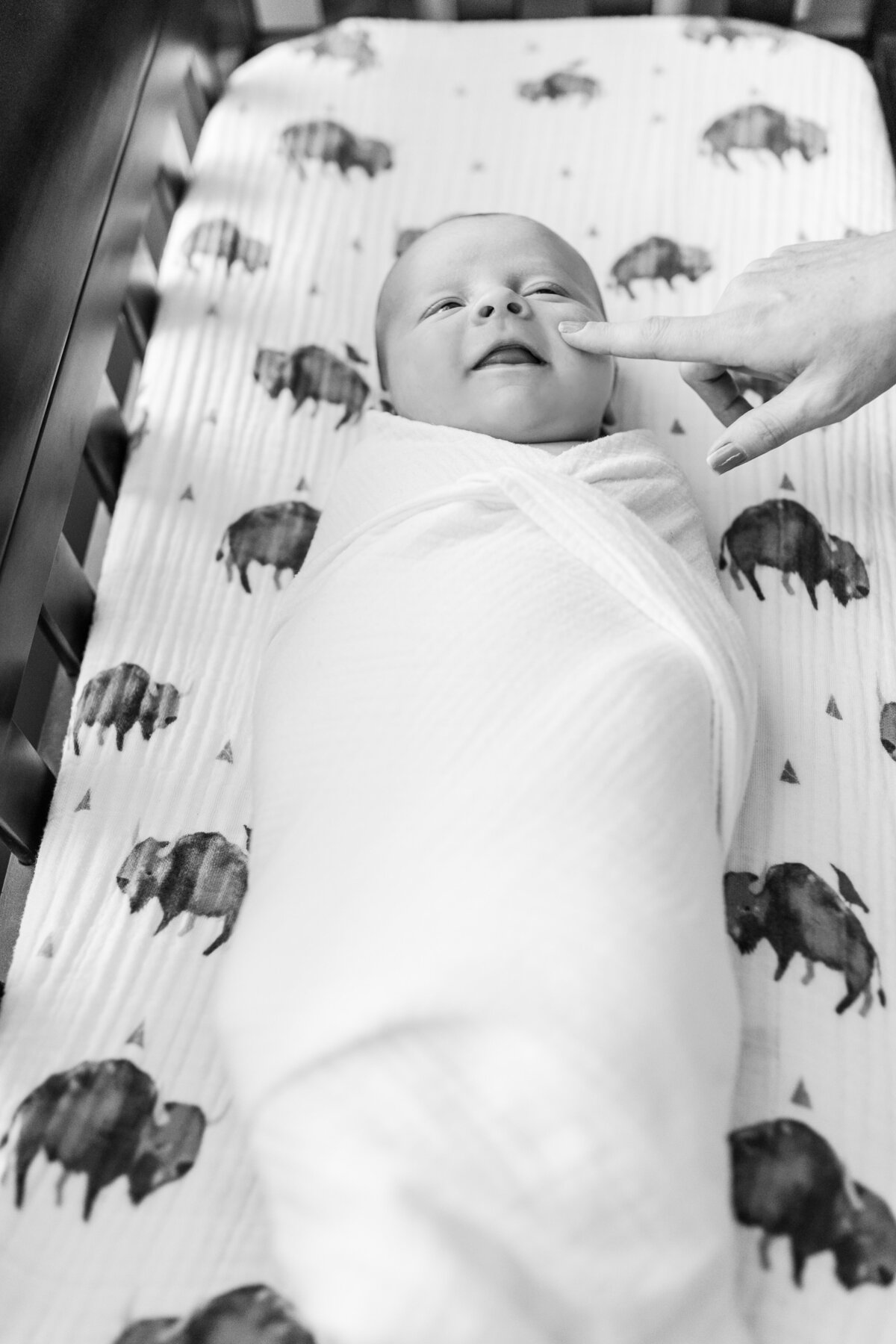 Raleigh Newborn Photographer Elizabeth Alice Photography 8