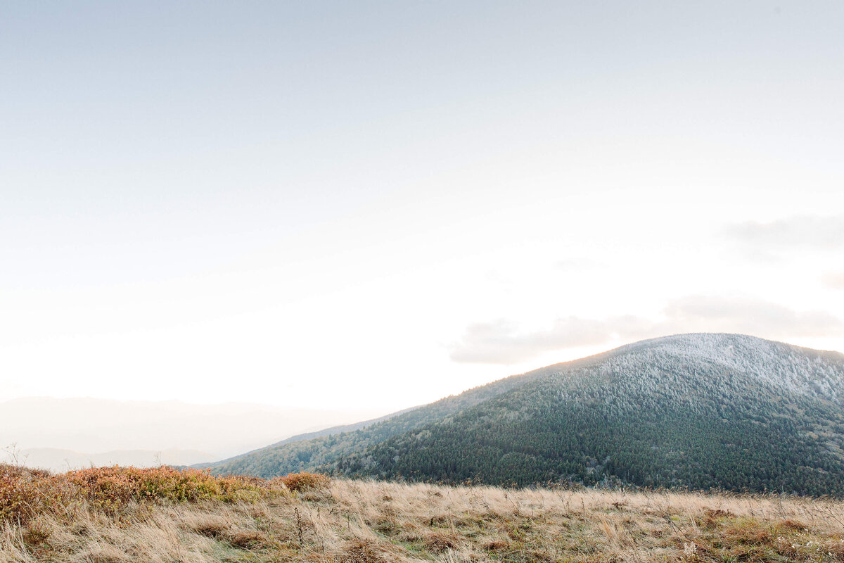 Roan-Mountain-NC-Elopement-29