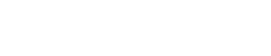 White Photoform logo