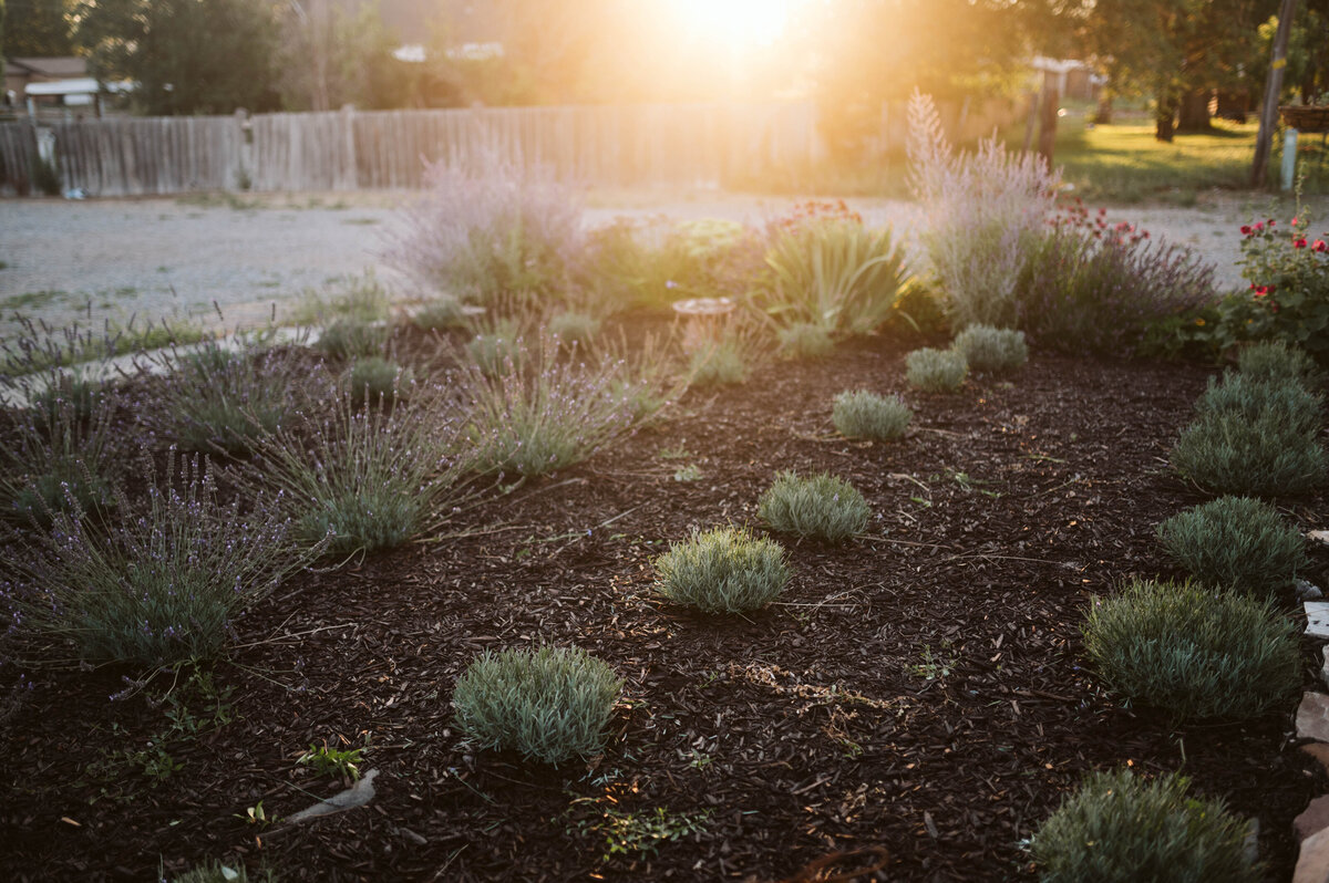 garden2023-98