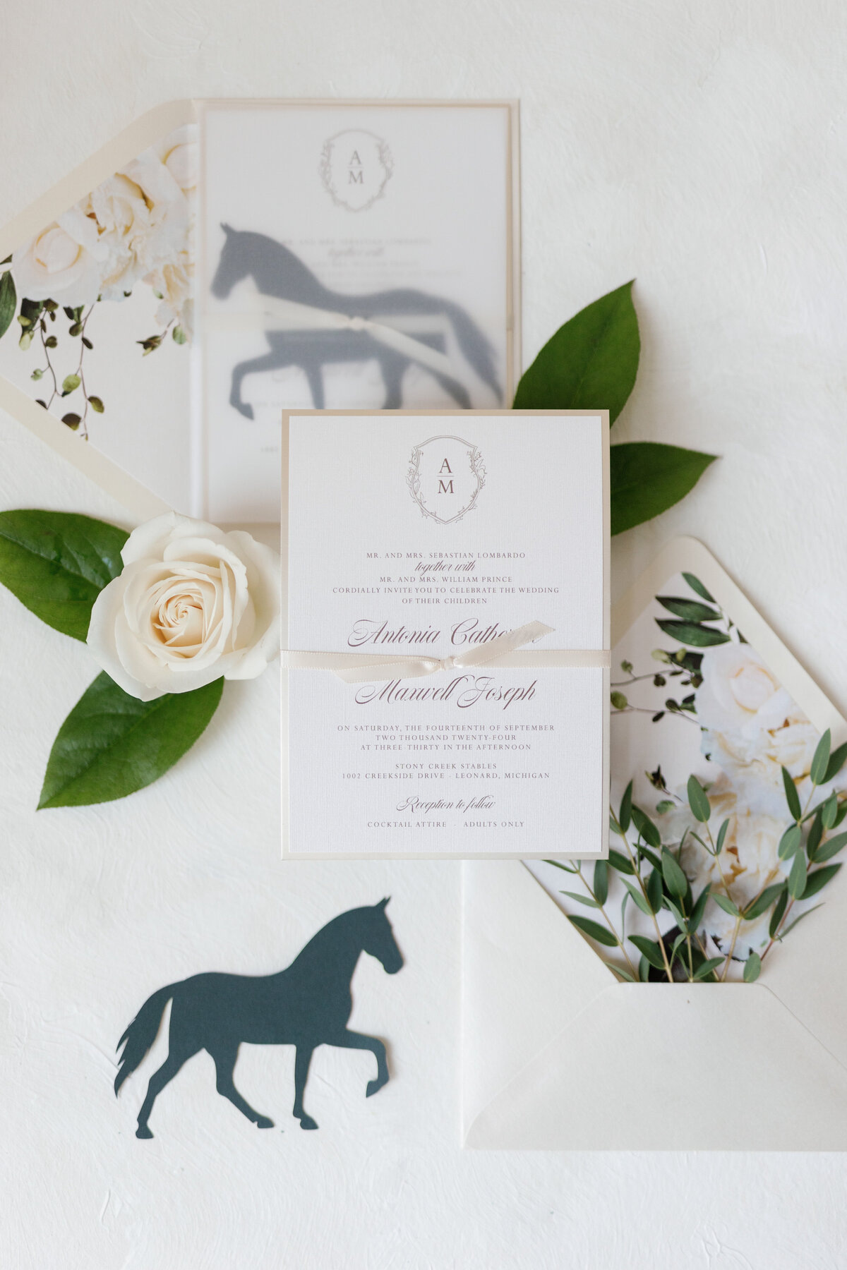 Michigan Wedding Photographers