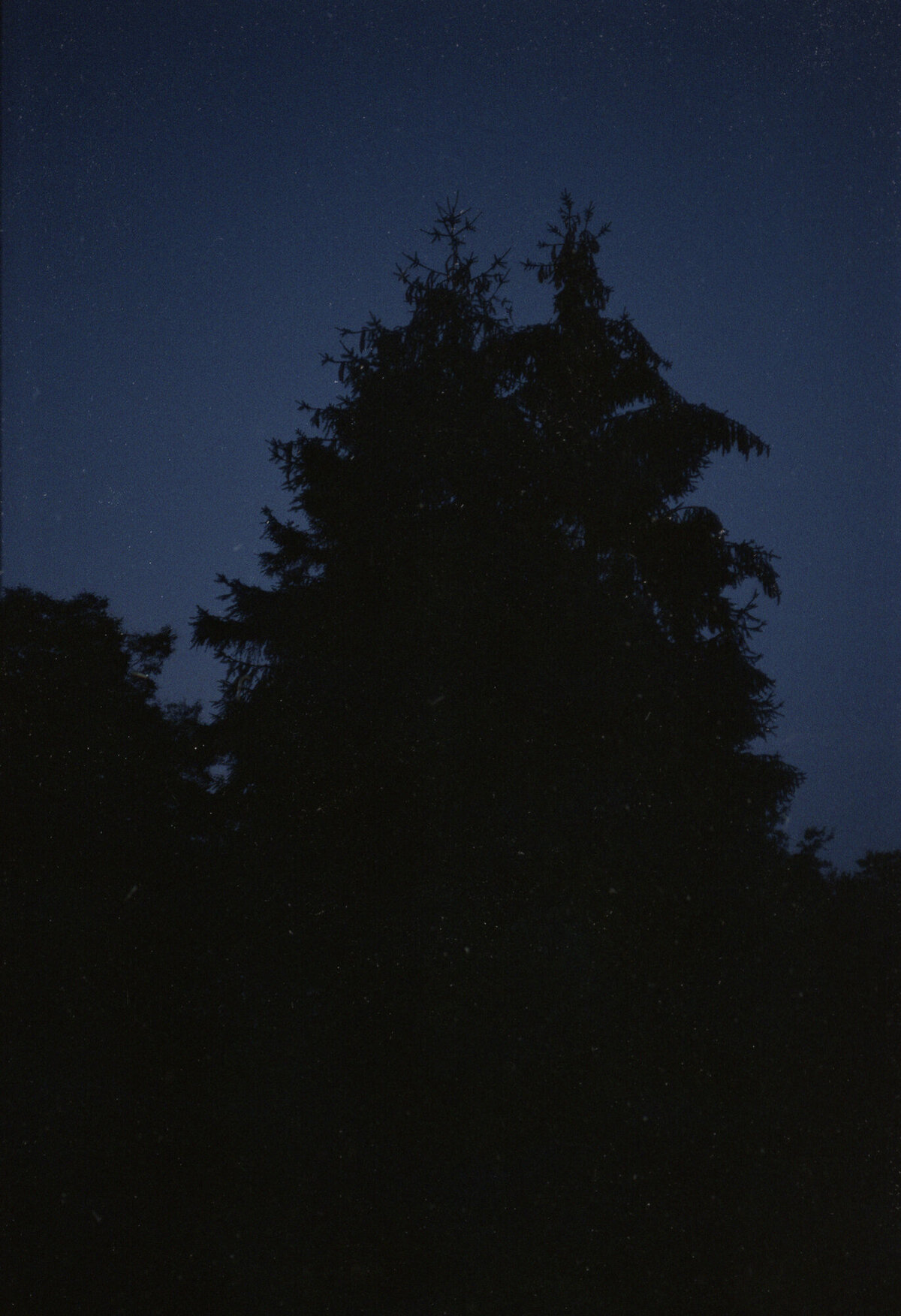 Silhouet_Donkerblau
