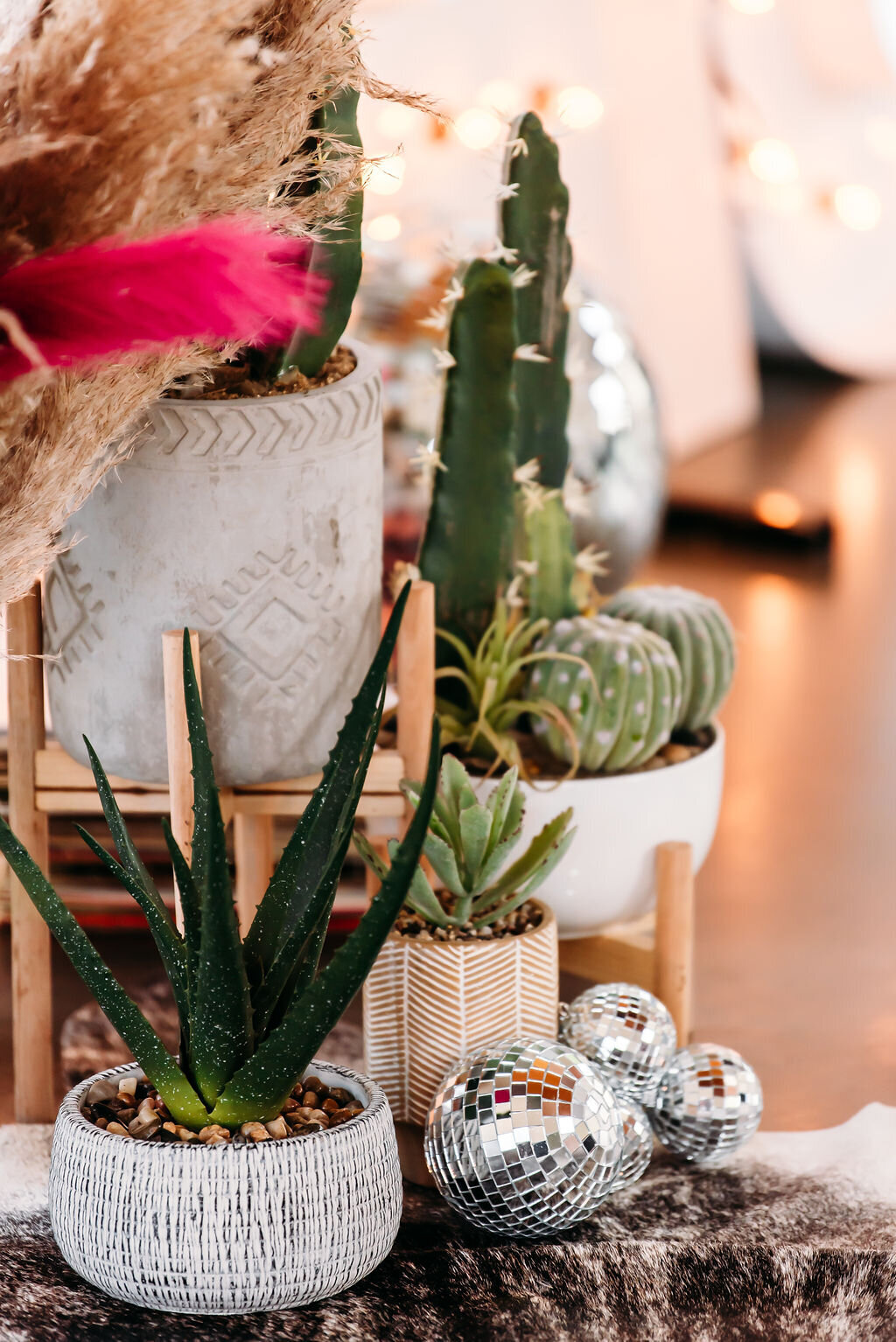 Vesper-and-Vow-Bemidji-Minnesota-wedding-and-elopement-photographer-coordinator-planner-boho-disco-cactus-decor