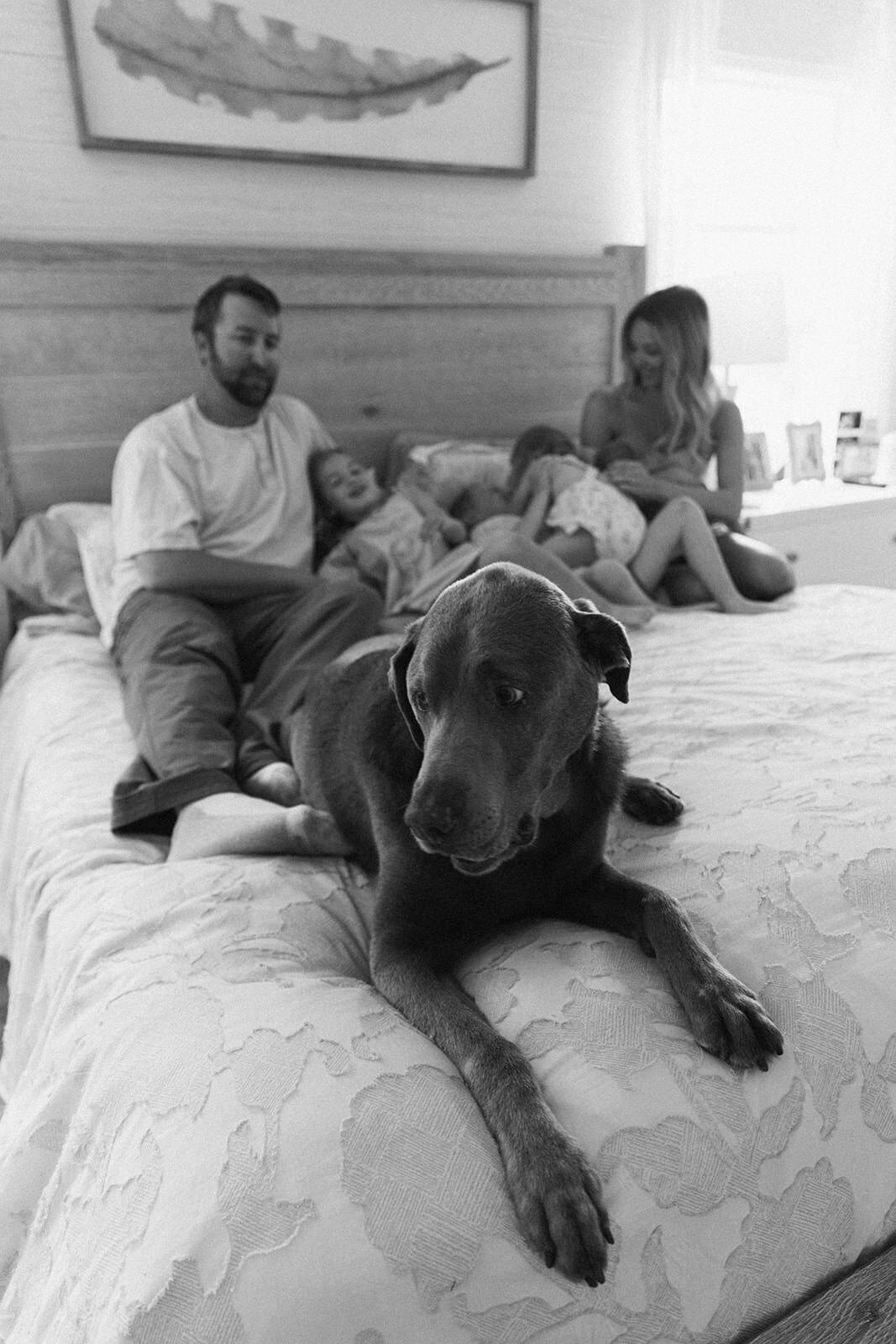 6.9.2025 - The Schultz Family_ Newborn-102