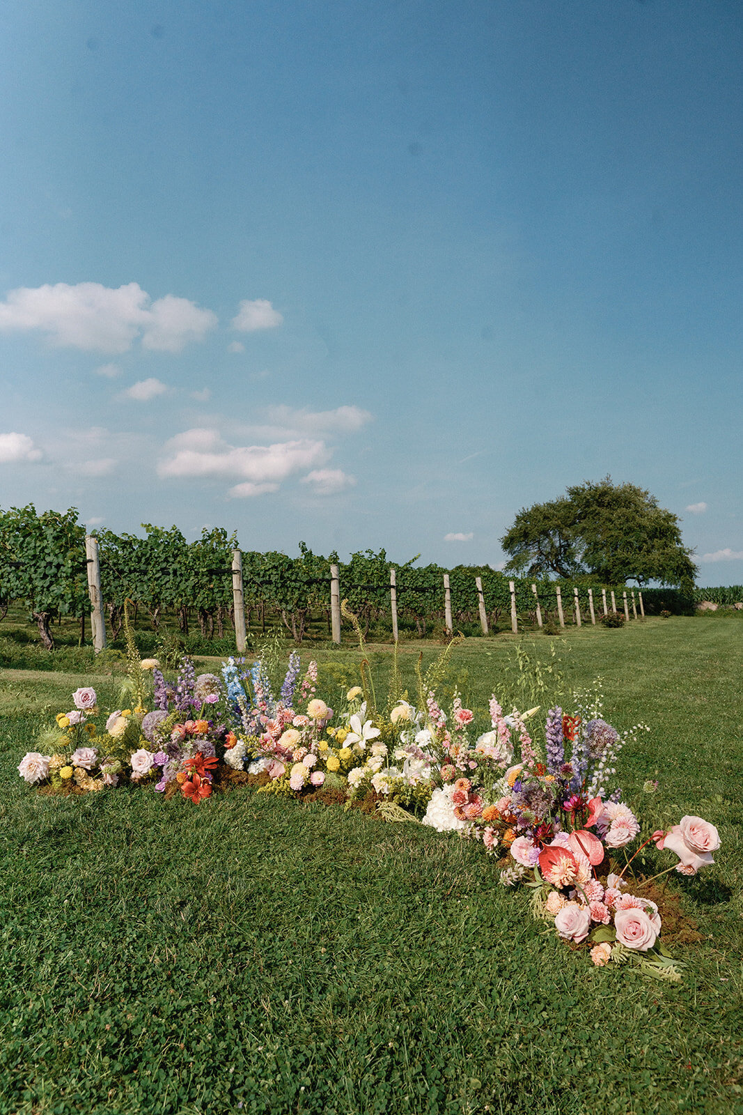DSC00870_websize