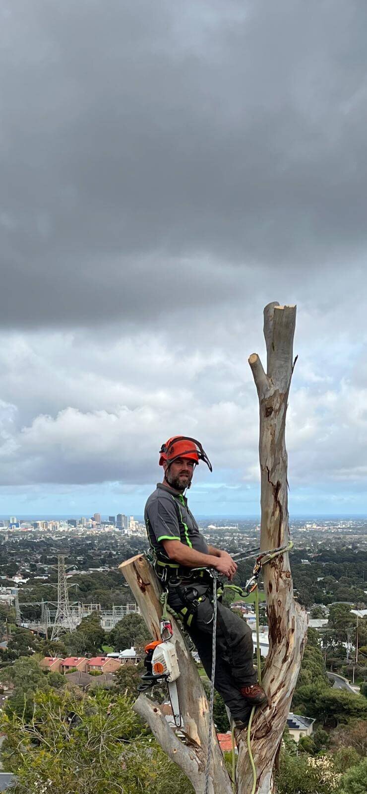 Evergreen Tree Services SA-Terry Loving His Job-003