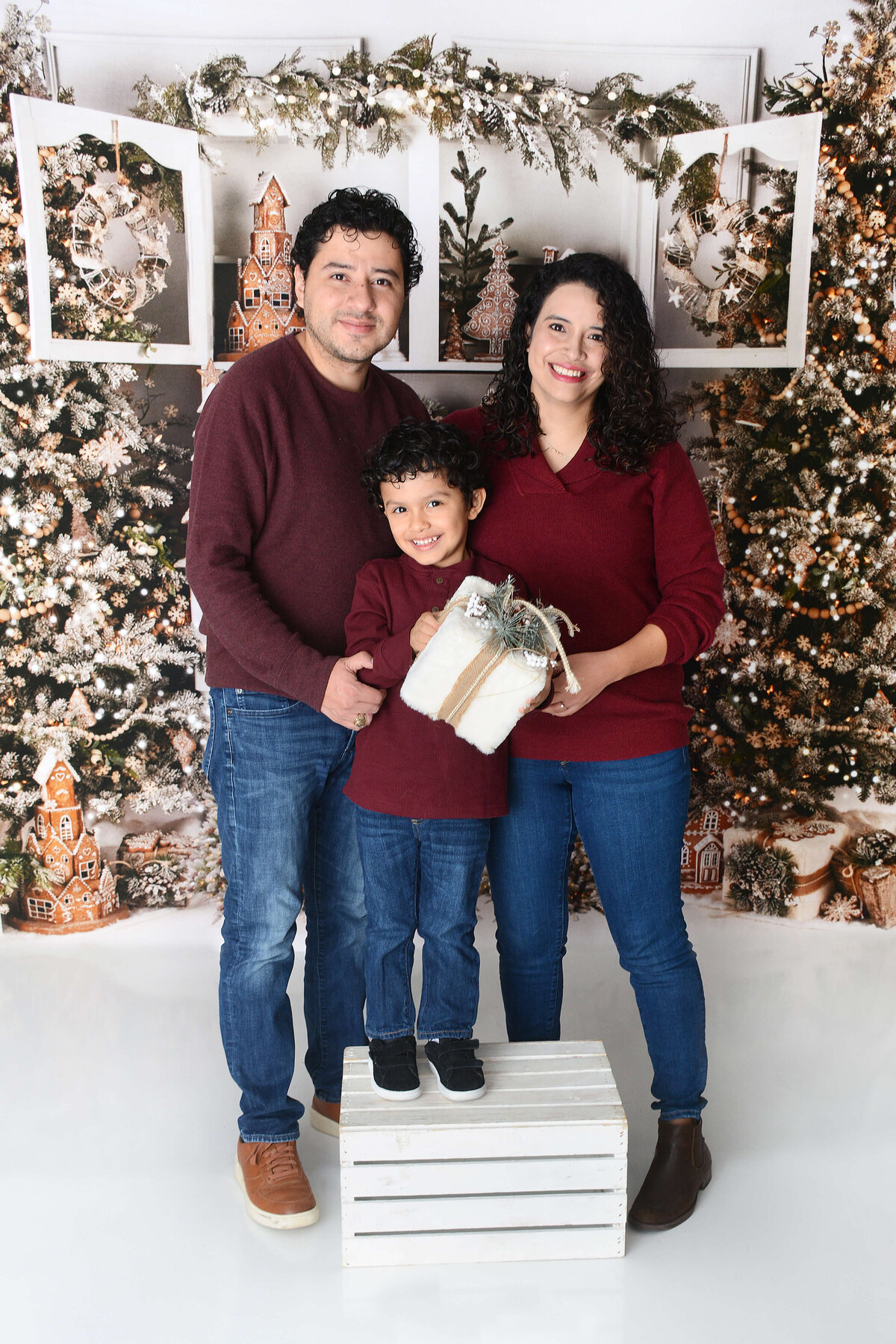 houstonchristmasbakingphotoshootmini (6)