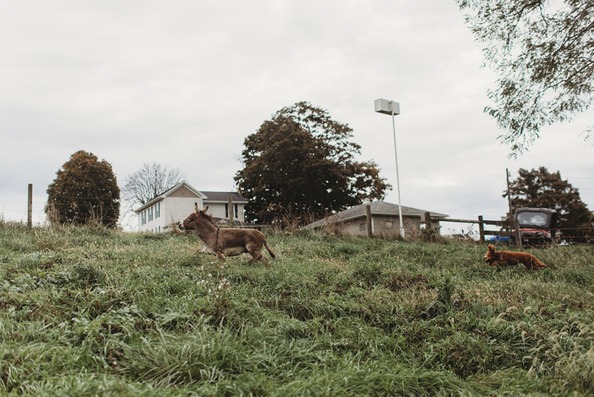 Ryan-Zarichnak-Photography-Pittsburgh-Katie-Megan-Nick-Wedding-2718