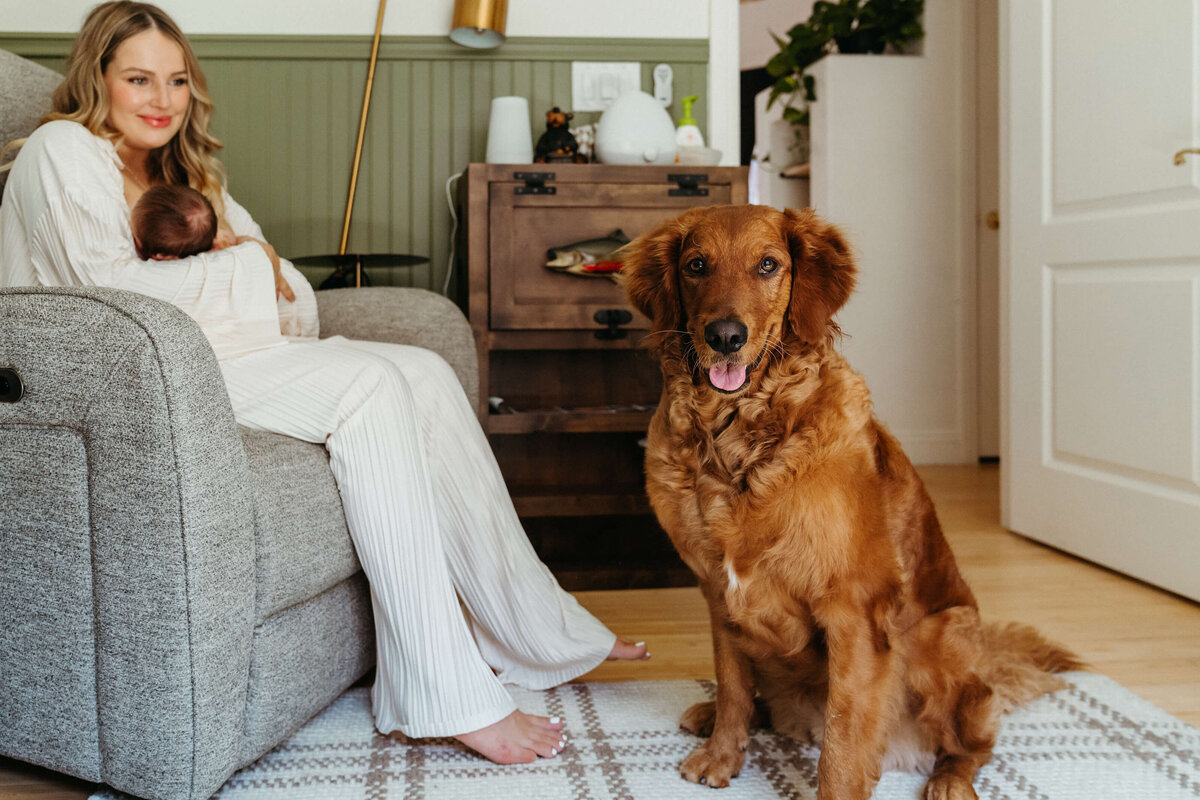 dog-keeping-watch-over-new-baby