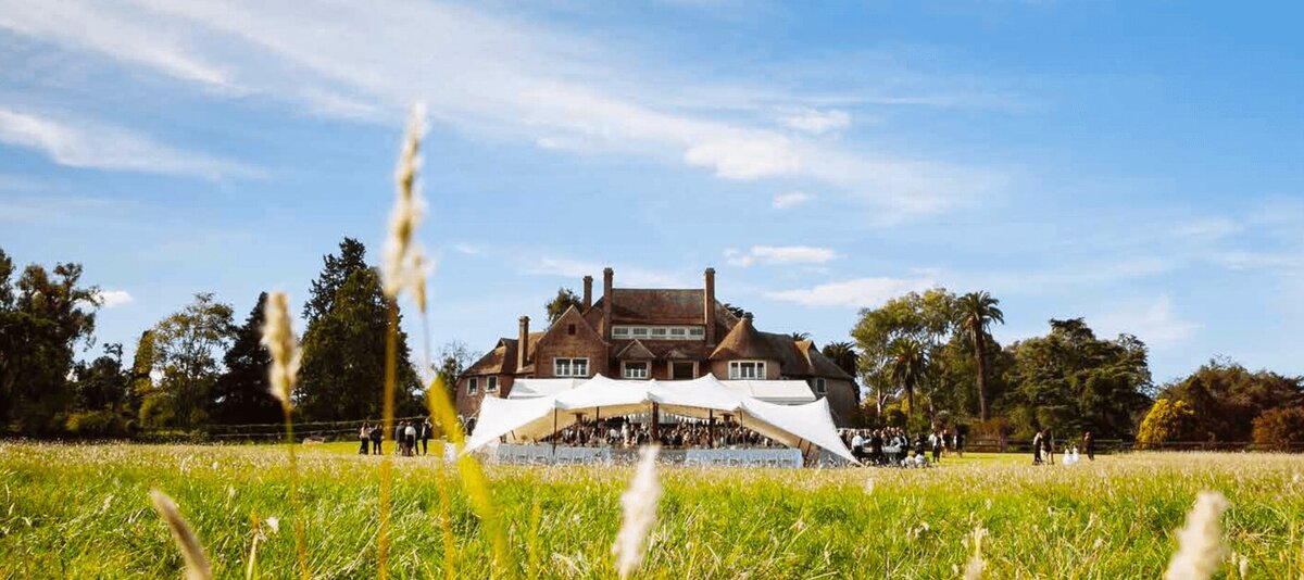 A long row of Pagoda marquees in a field