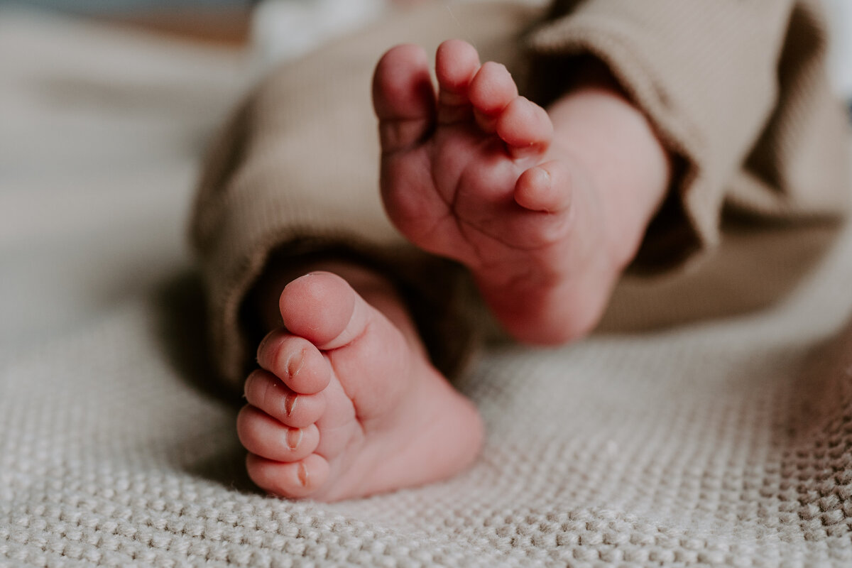 everatilroefotografie.-53