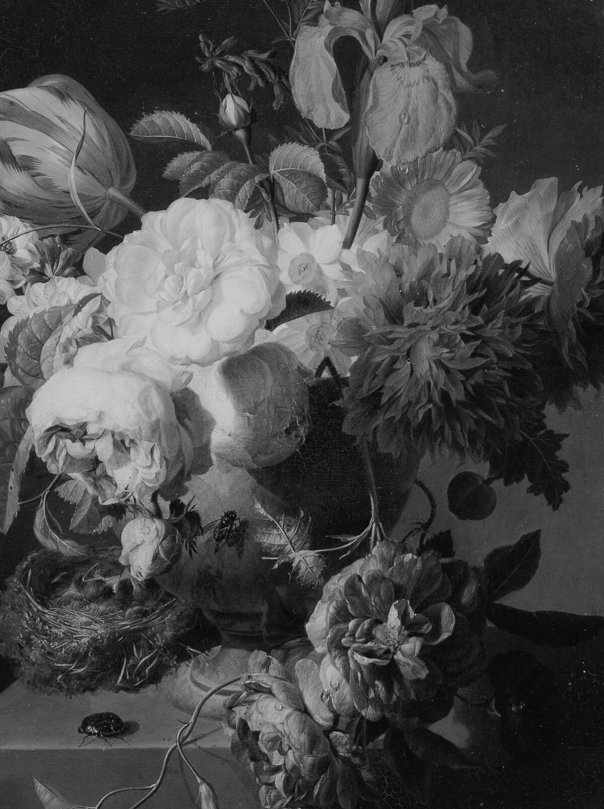 flowes