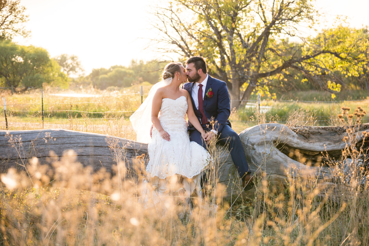 bride & groom sit on a log and kiss in a meadow
