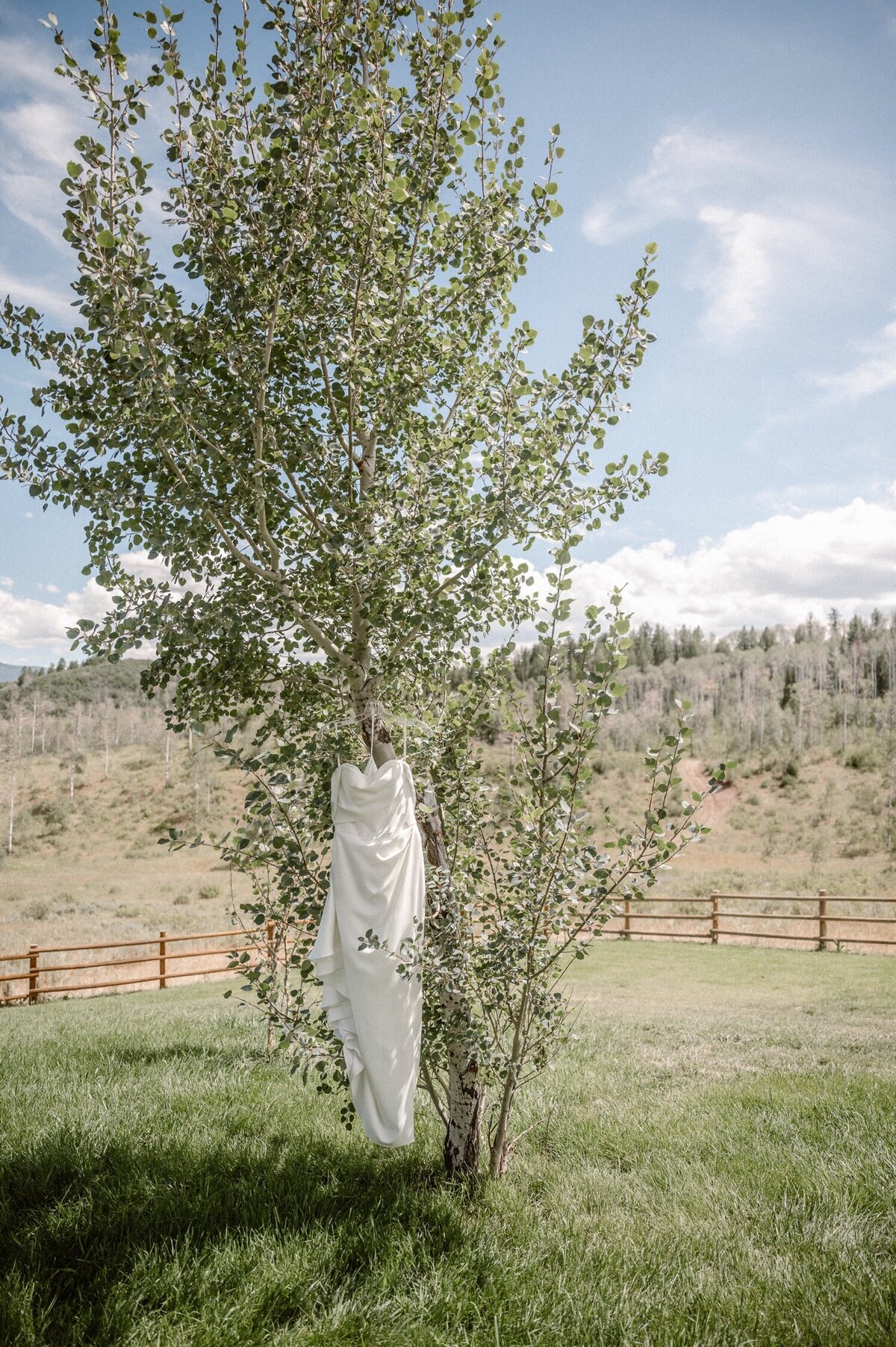 Steamboat-Springs-Wedding-Telluride-Wedding-Photographer-Ashley-Joyce5