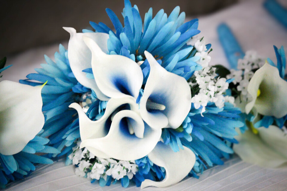 phillips_wedding_096