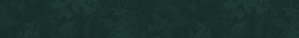 Green Flower Pattern