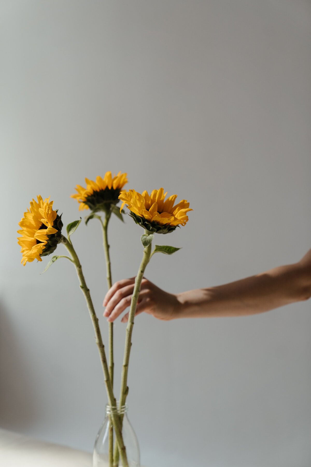 pexels-cottonbro-studio-4272629