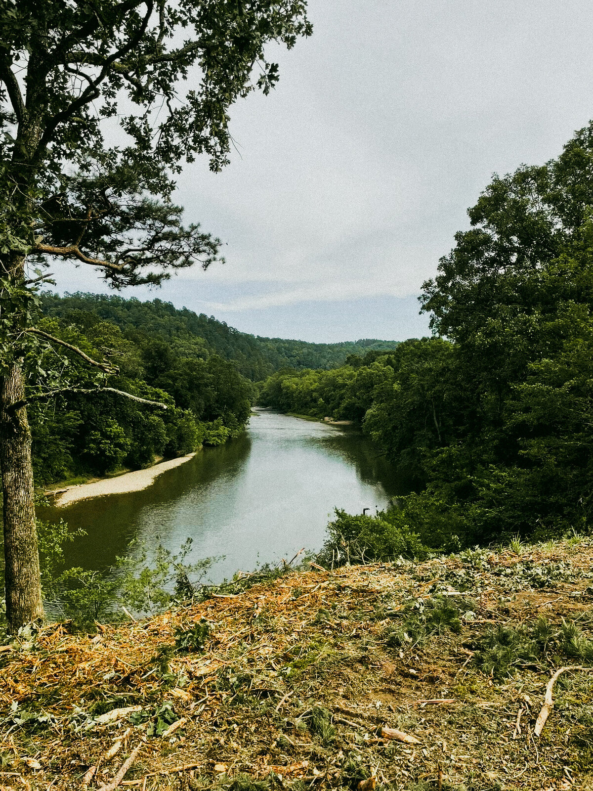 IMG_3315