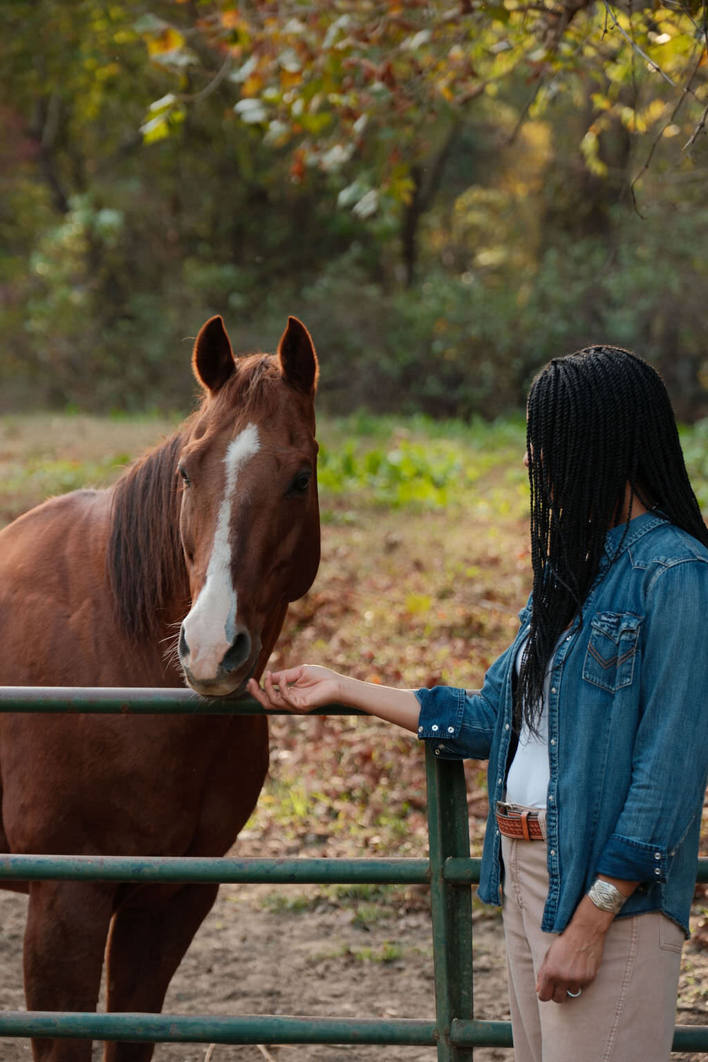 TheHoof_Selections_October_00031