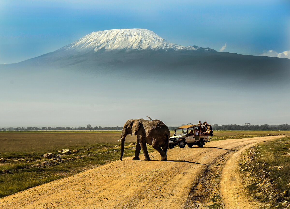 Elephant crossing a dirt road in Amboseli National Park with a safari vehicle nearby and Mount Kilimanjaro towering in the background.