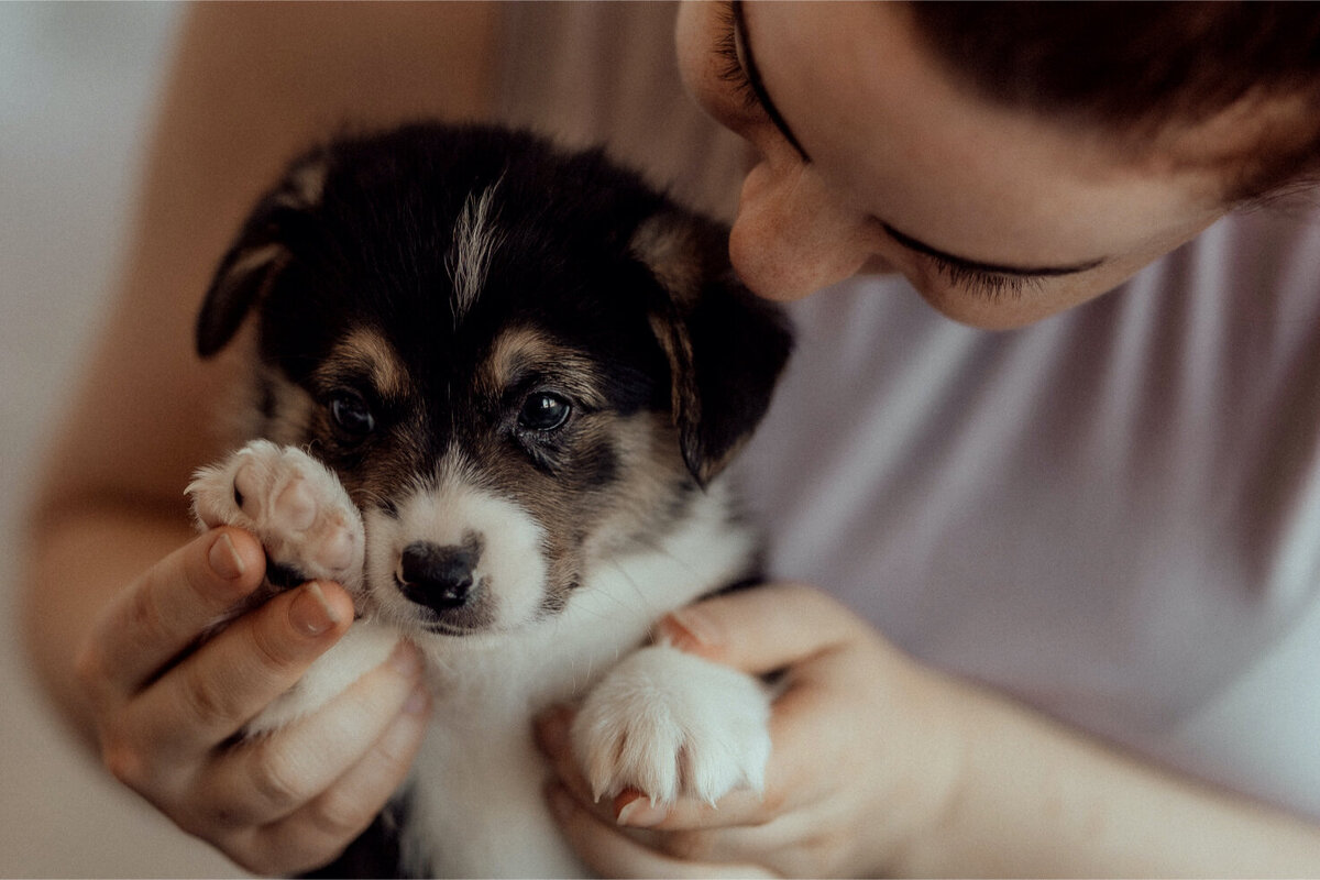 the-lifestyle-phodographer-perth-family-pet-photographer-litter00018