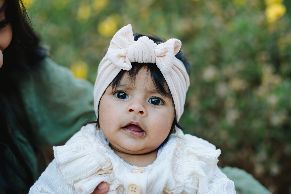 IMGL1768Williow Spring_ family session_ golden hour_andreadawkinsphotography
