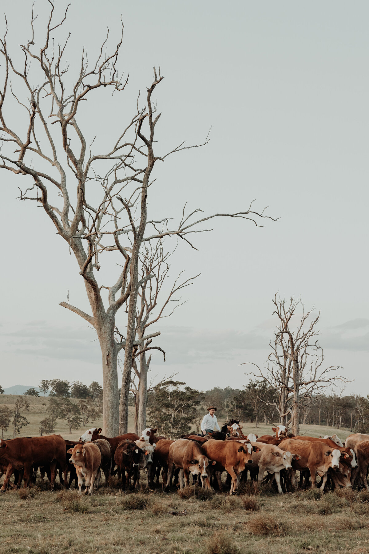 Kyogle Family Photography