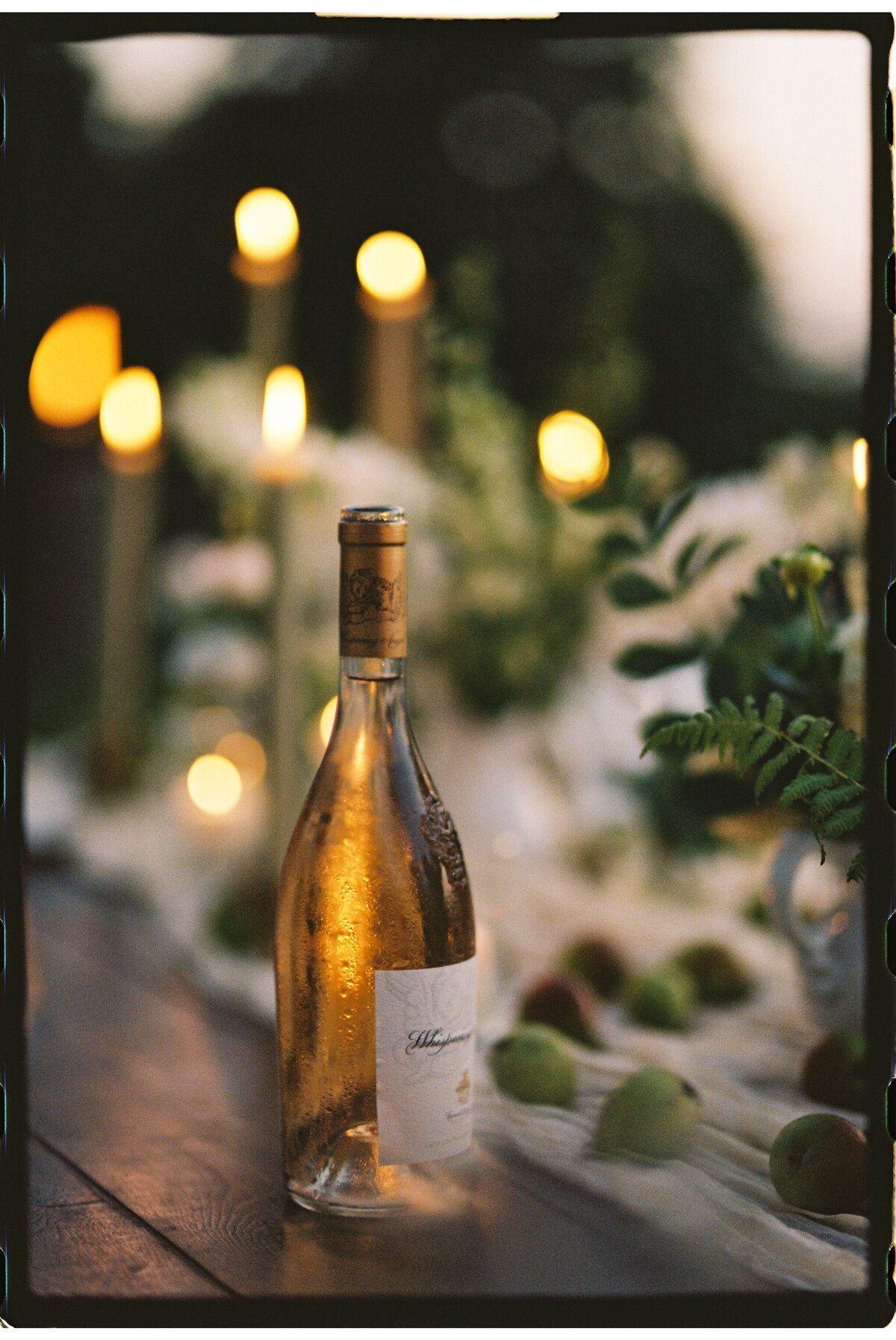 vermont-wedding-photographer-film2