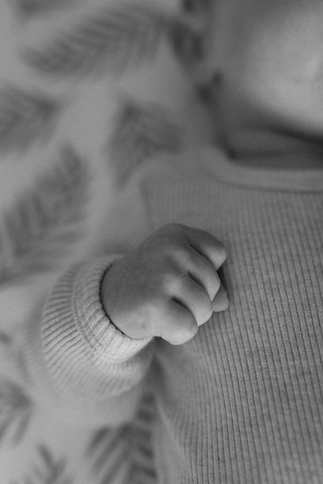 Calgary newborn photographer Laura Karl 6