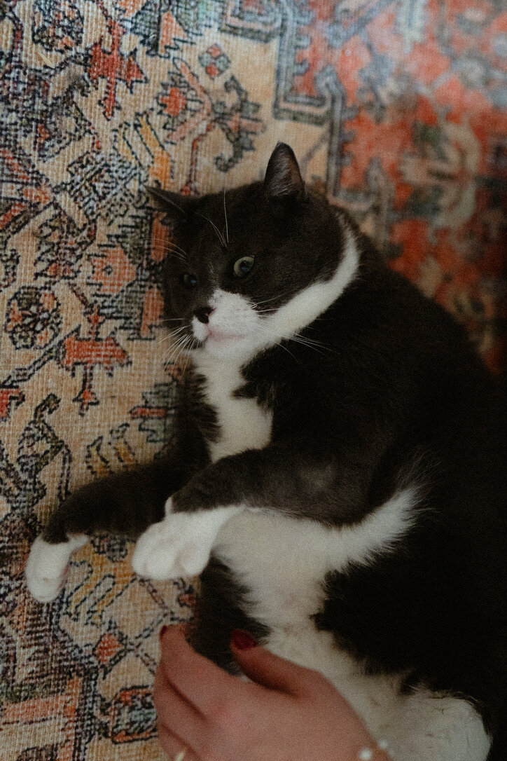 0C311E3F-4E55-477F-A51F-E3C756AC3793_1_105_c