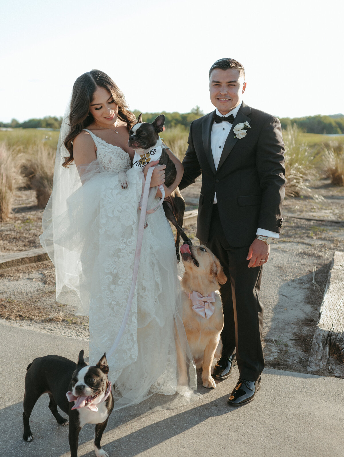 bride and groom photos with dogs