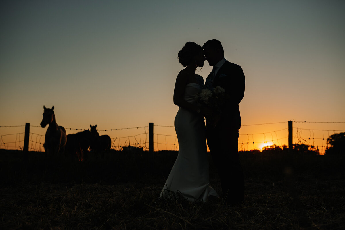 bridal couple embracing in horse pasture during sunset