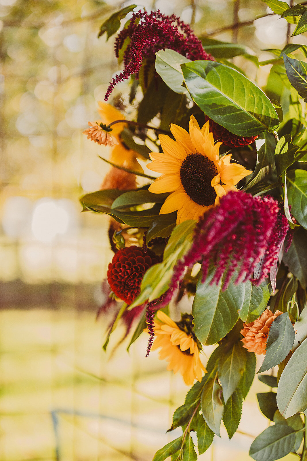 Laure&Nils_huwelijk_bewerkt_ceremonie_-179