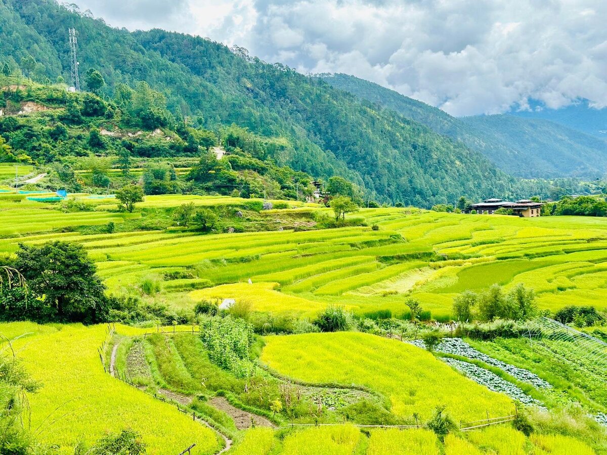 bhutan