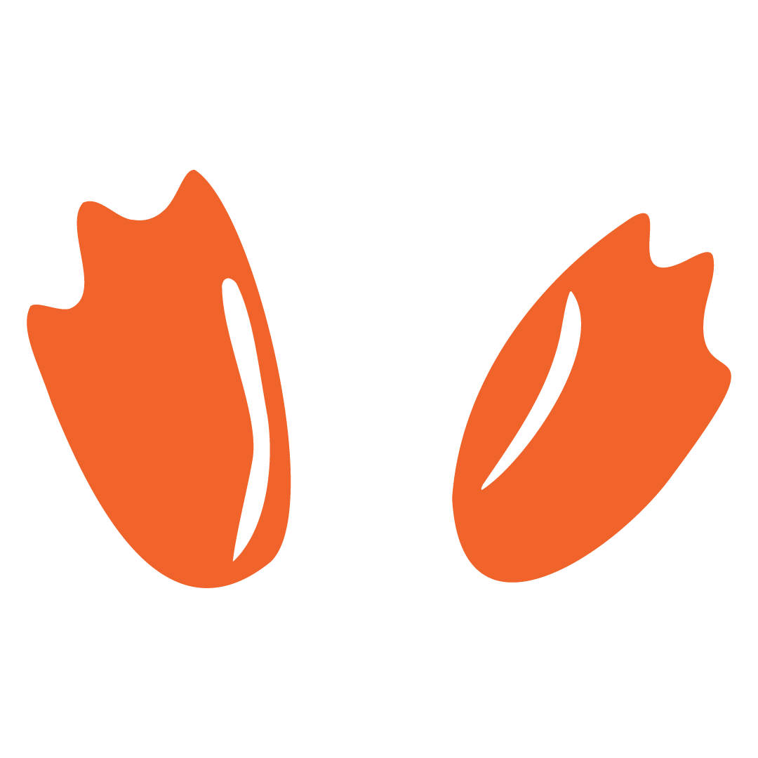 Feet - Pop