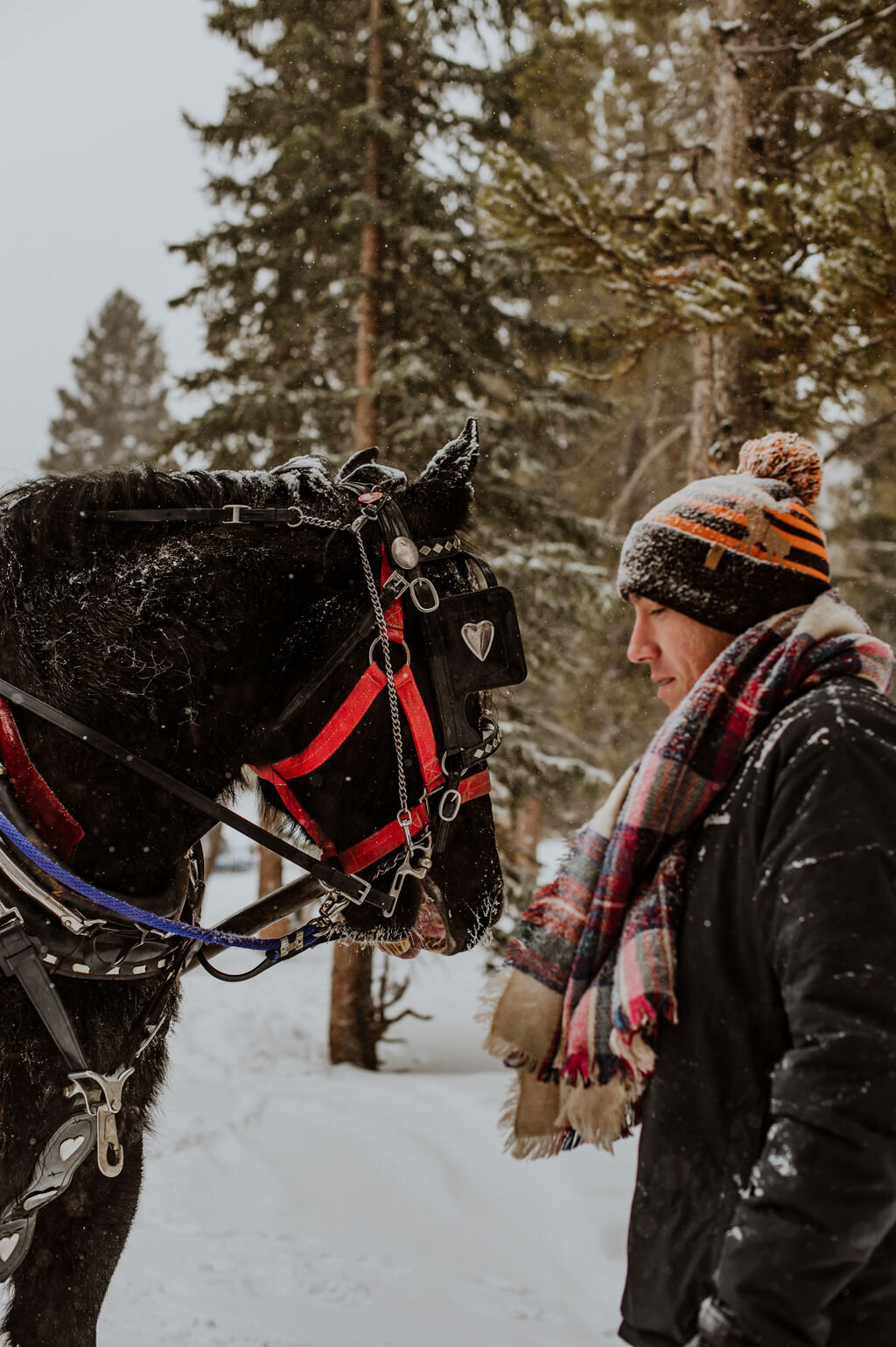 breckenridge_golden_sleigh_rides_proposal_engagement_colorado_snow_wyoming_oregon-0087