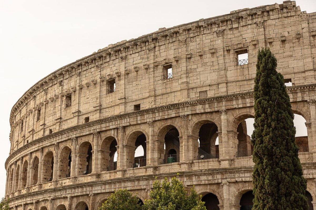 View of Rome Colosseum from Oppian Hill