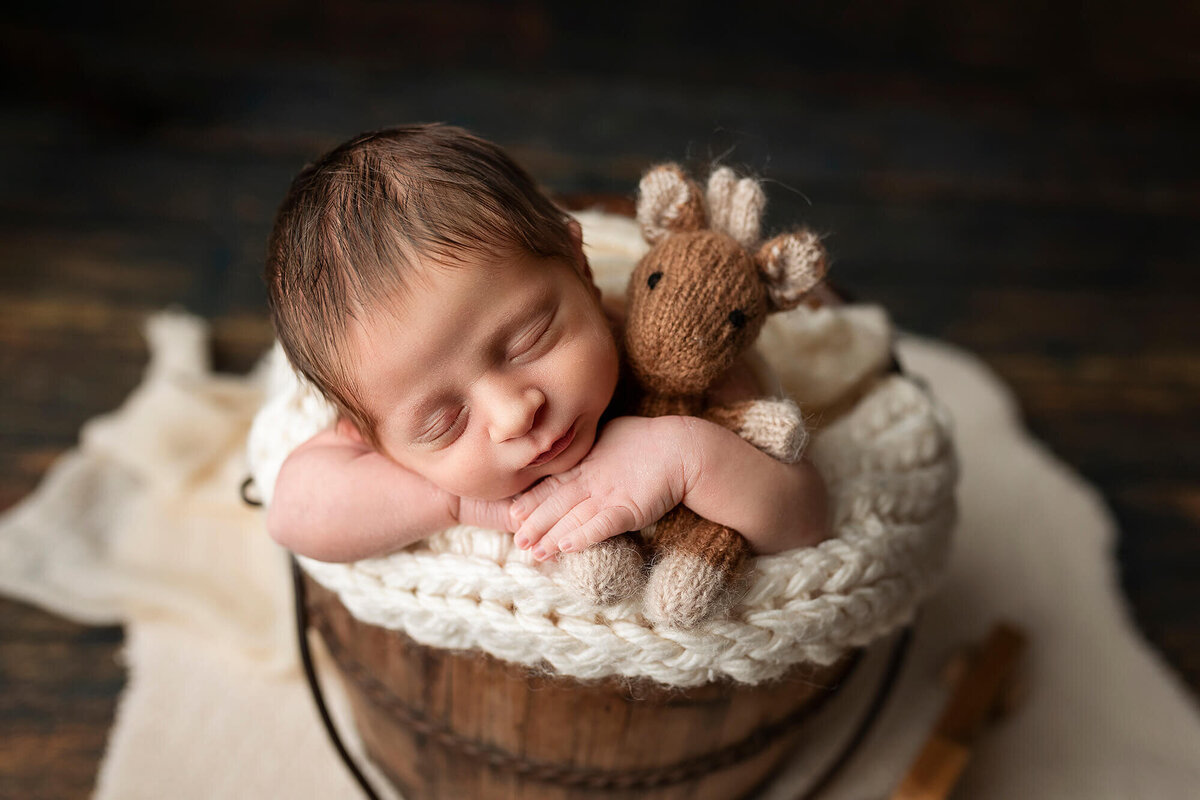 Newborn posed with a giraffe stuffy during his newborn session.