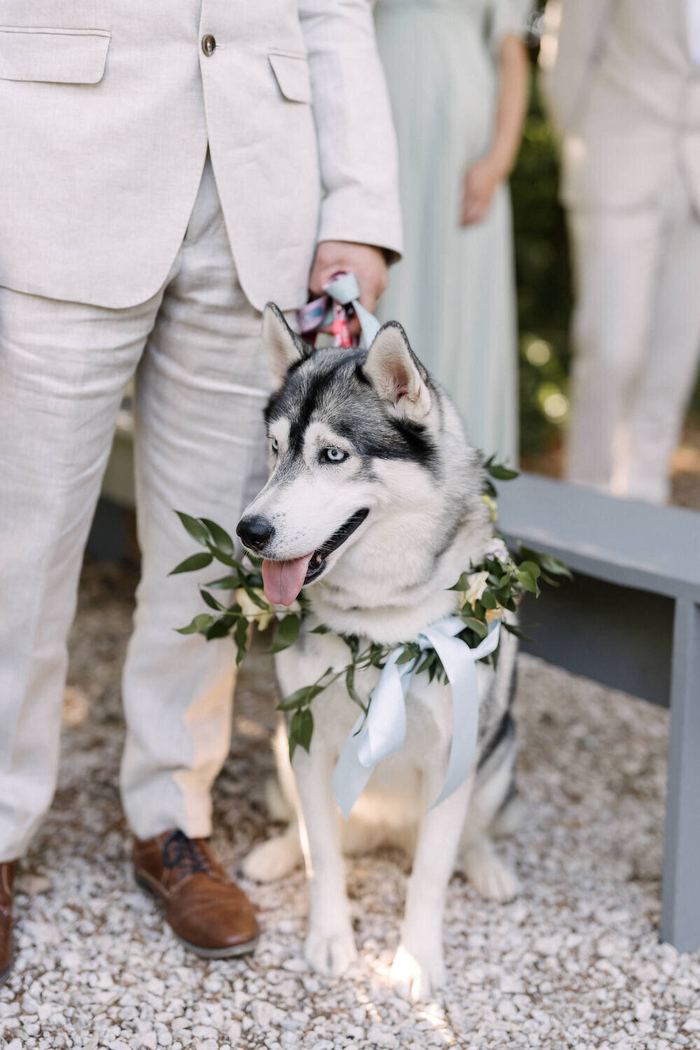 outdoor-wedding-ceremony-with-dog1