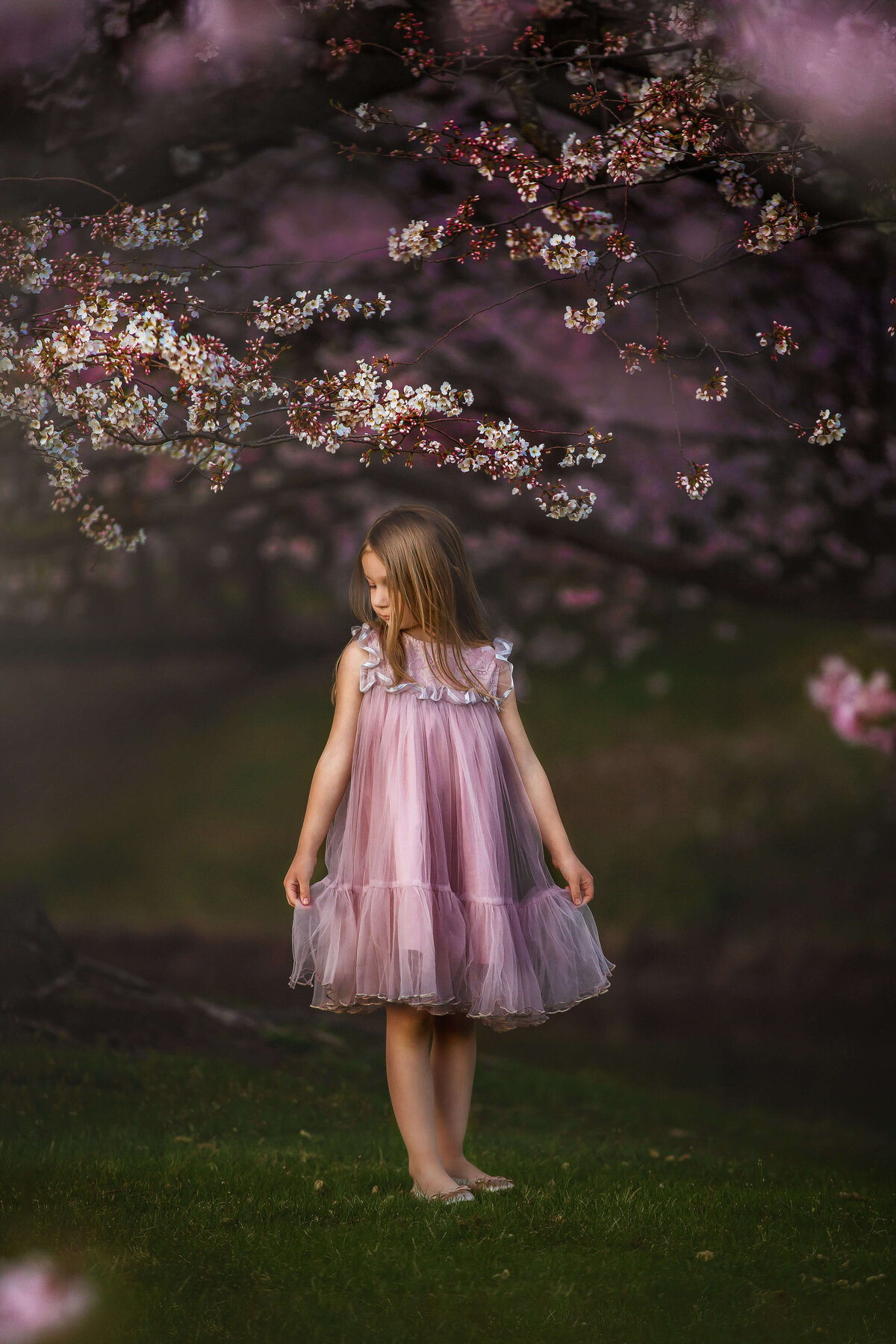 Girl in pink dress standing by cherry blossom trees
