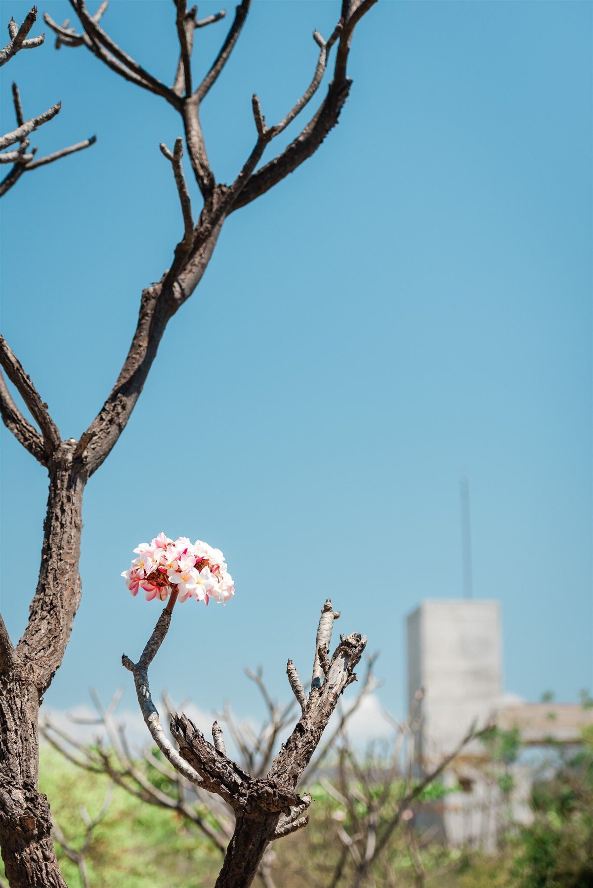 luxury-architecture-elopement-Mexico-Photographer-Soul-and-Sky-Weddings-4