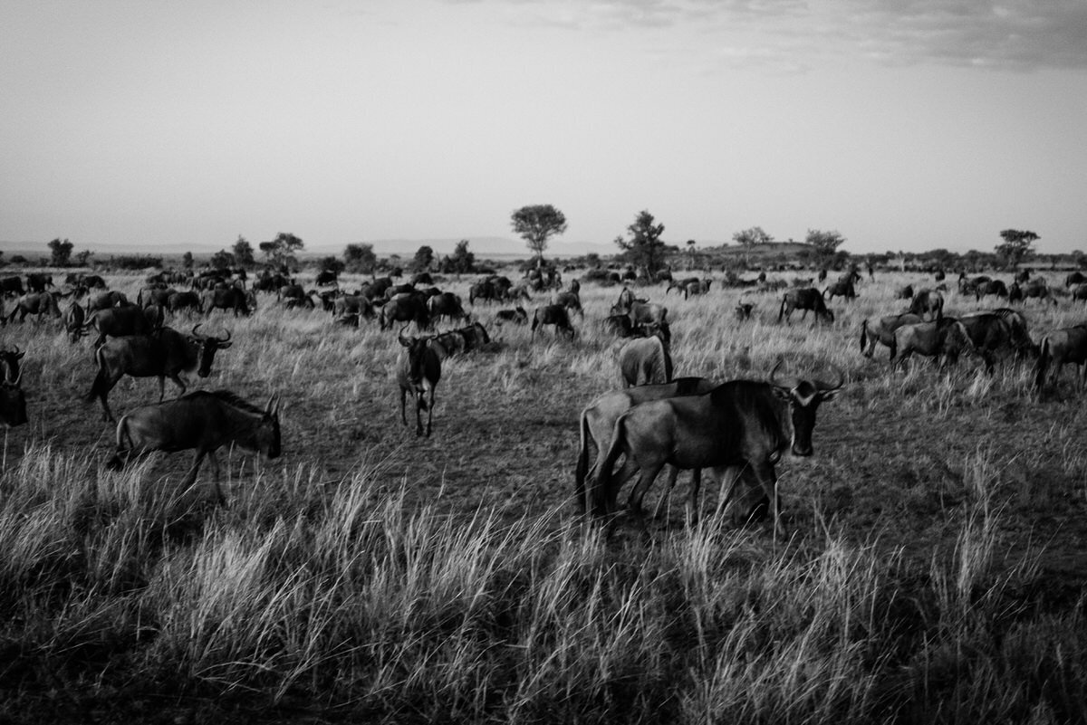 leila-brewster-photography-tanzania-0446