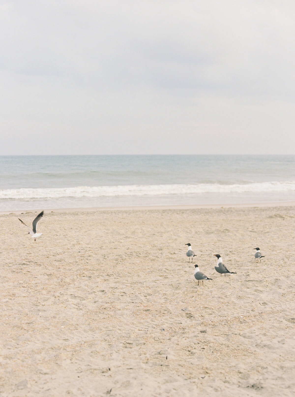 SC NC Wedding Photographer-21