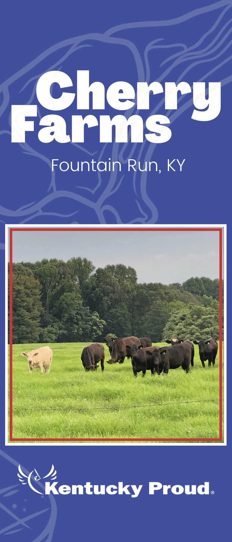 Informational brochure design for Kentucky beef and swine farm selling value added agriculture products