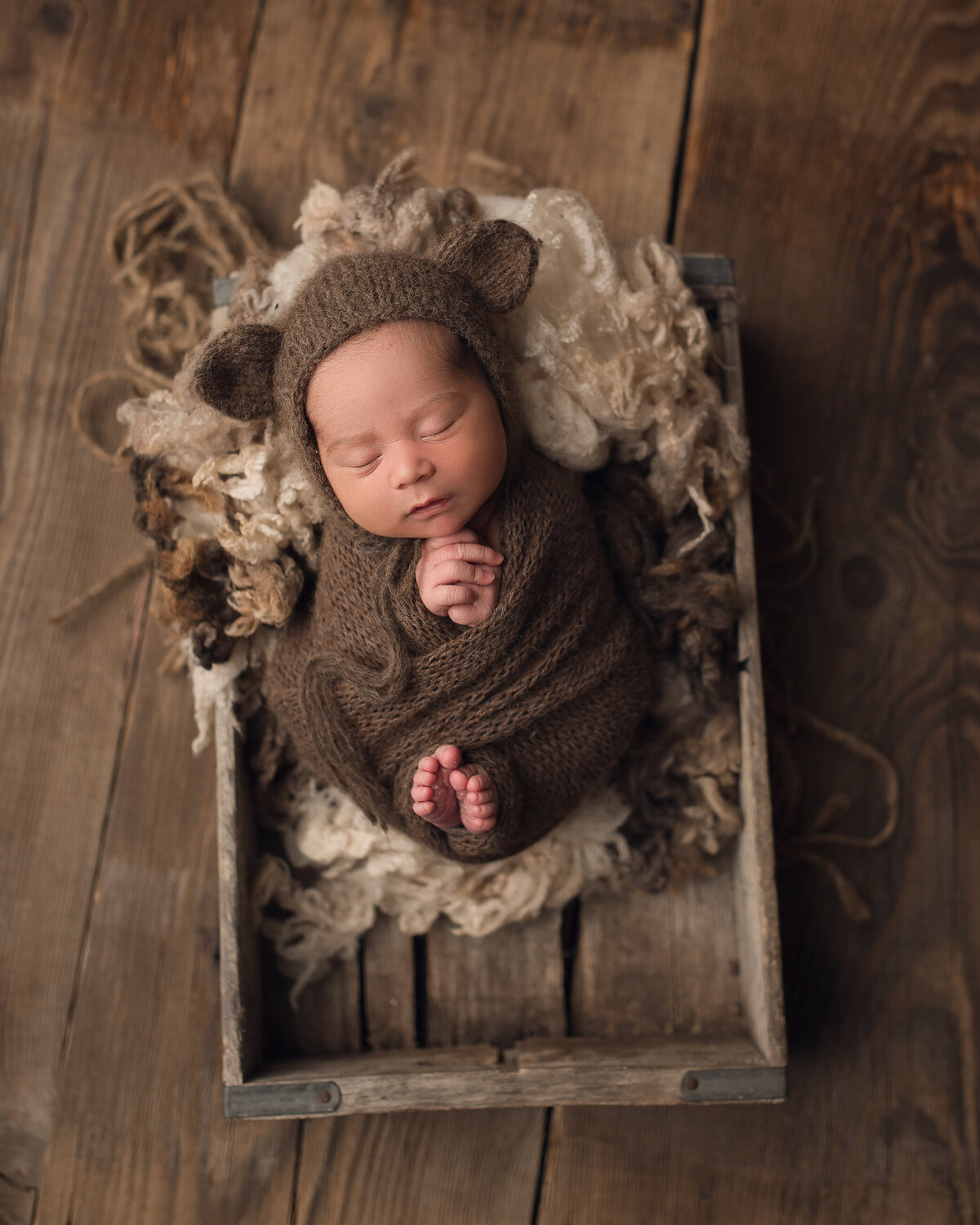 Sleeping bear newborn props, by Katie Anne