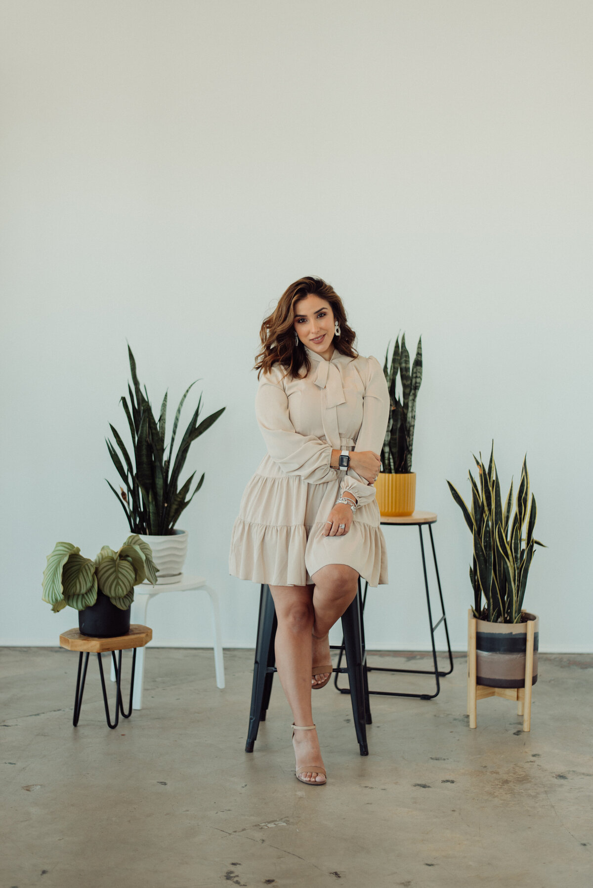 LMO_4649