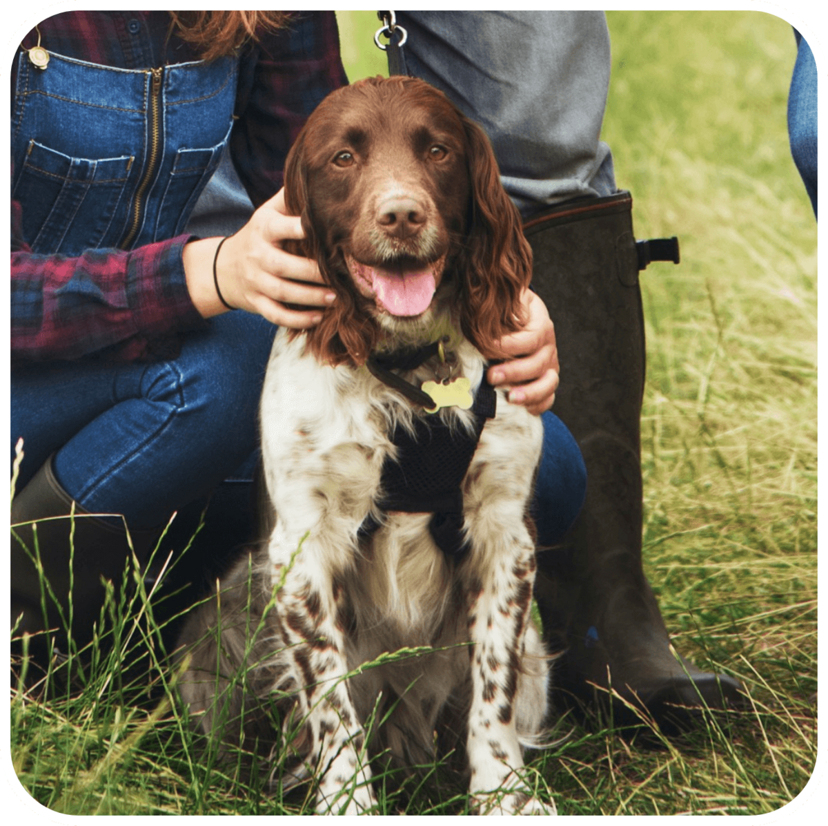 attaboys-and-attagirls-08